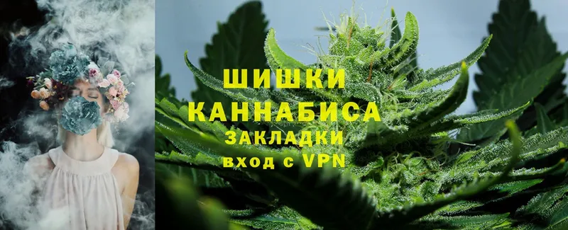 Конопля Ganja  Балтийск 